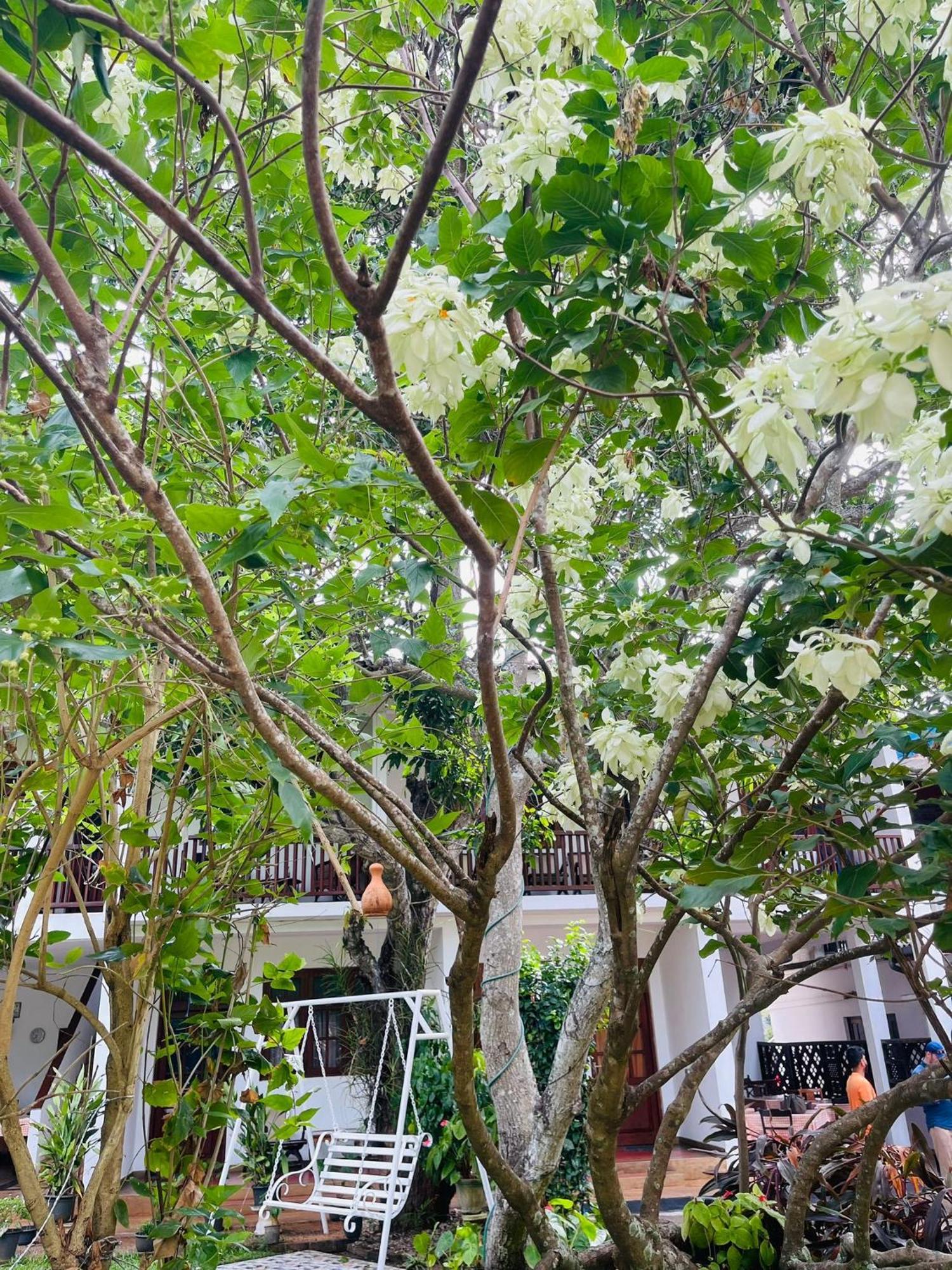Little Paradise Tourist Guest House And Holiday Home Anuradhapura Bagian luar foto
