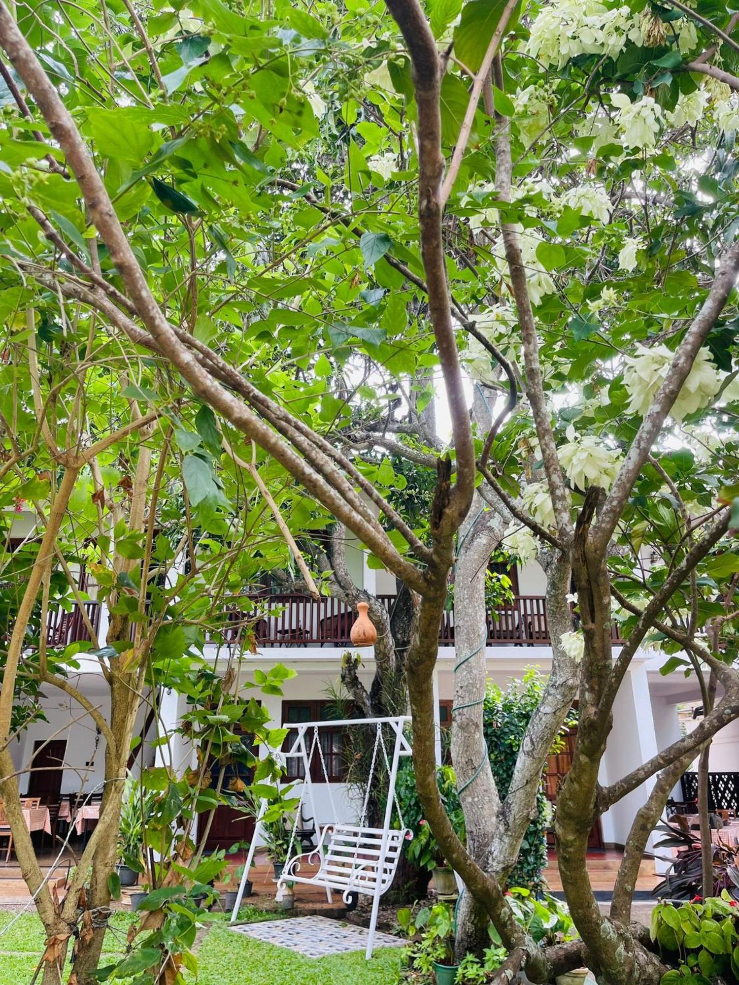 Little Paradise Tourist Guest House And Holiday Home Anuradhapura Bagian luar foto