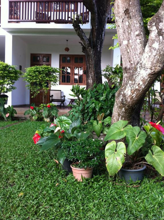 Little Paradise Tourist Guest House And Holiday Home Anuradhapura Bagian luar foto